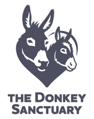 The Donkey Sanctuary